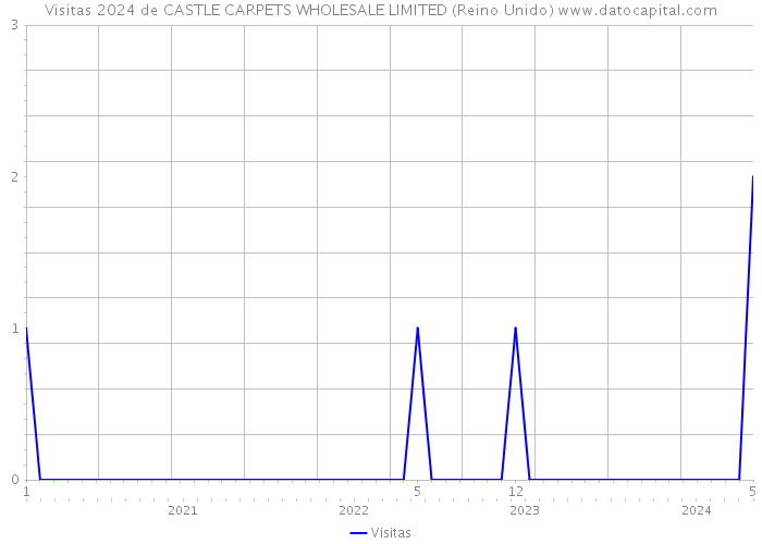 Visitas 2024 de CASTLE CARPETS WHOLESALE LIMITED (Reino Unido) 
