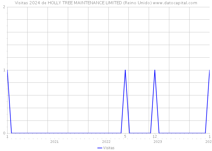 Visitas 2024 de HOLLY TREE MAINTENANCE LIMITED (Reino Unido) 