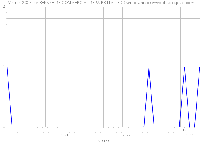 Visitas 2024 de BERKSHIRE COMMERCIAL REPAIRS LIMITED (Reino Unido) 