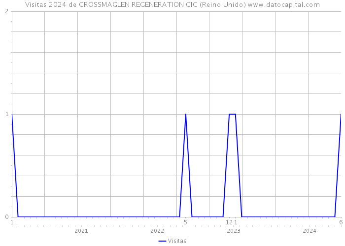 Visitas 2024 de CROSSMAGLEN REGENERATION CIC (Reino Unido) 