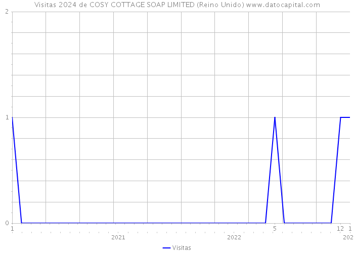 Visitas 2024 de COSY COTTAGE SOAP LIMITED (Reino Unido) 