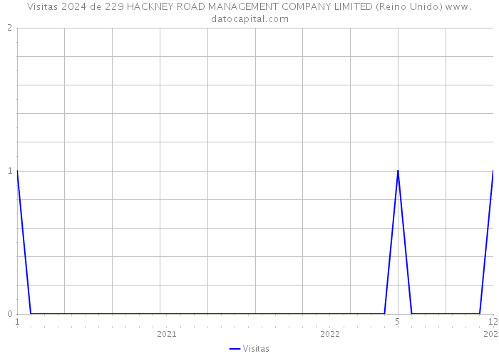 Visitas 2024 de 229 HACKNEY ROAD MANAGEMENT COMPANY LIMITED (Reino Unido) 