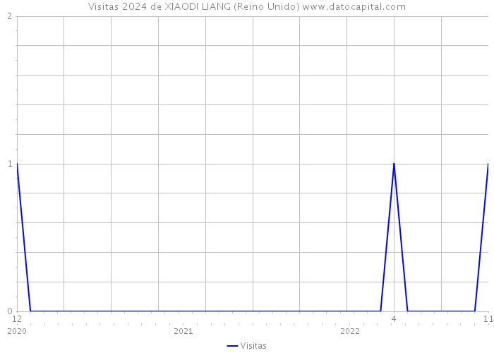 Visitas 2024 de XIAODI LIANG (Reino Unido) 