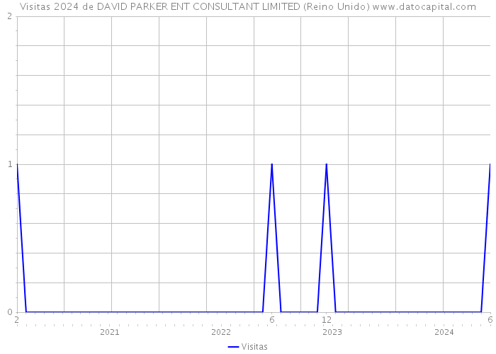 Visitas 2024 de DAVID PARKER ENT CONSULTANT LIMITED (Reino Unido) 