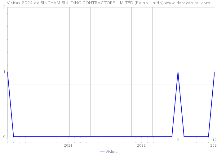 Visitas 2024 de BINGHAM BUILDING CONTRACTORS LIMITED (Reino Unido) 