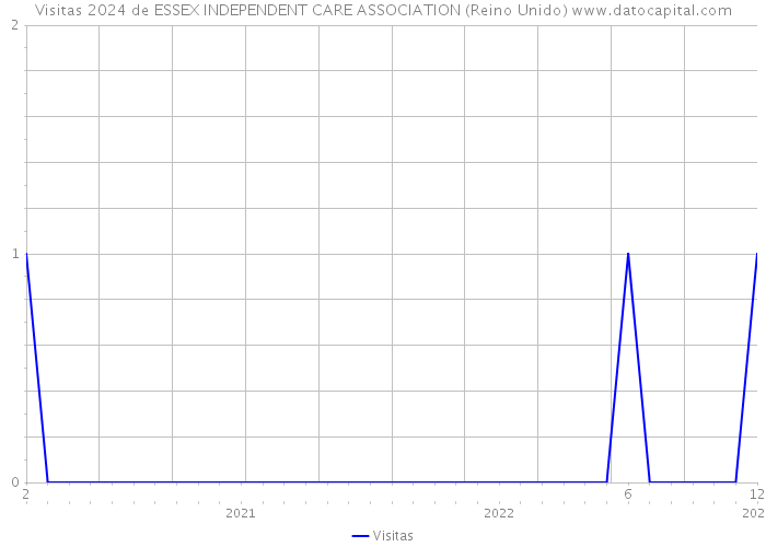 Visitas 2024 de ESSEX INDEPENDENT CARE ASSOCIATION (Reino Unido) 