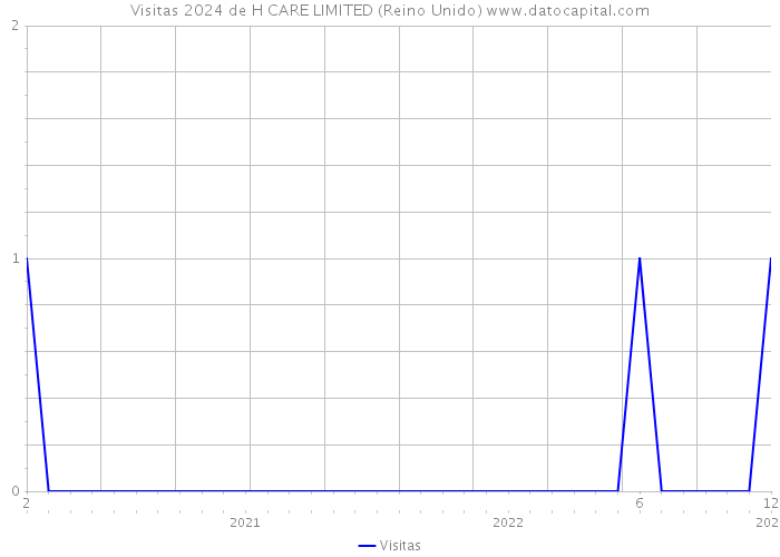 Visitas 2024 de H CARE LIMITED (Reino Unido) 