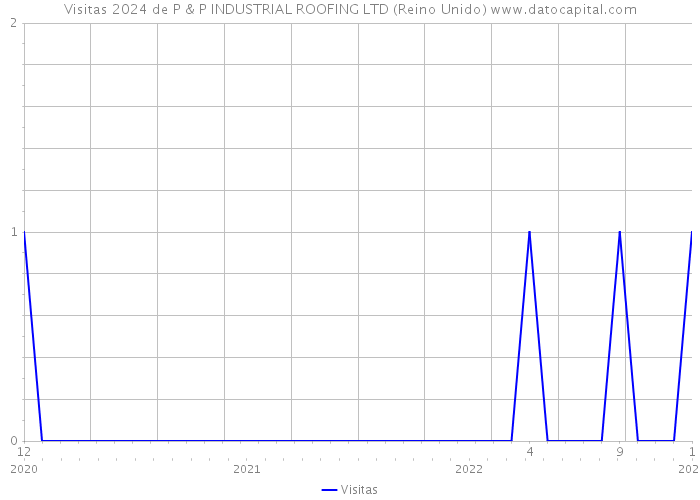 Visitas 2024 de P & P INDUSTRIAL ROOFING LTD (Reino Unido) 