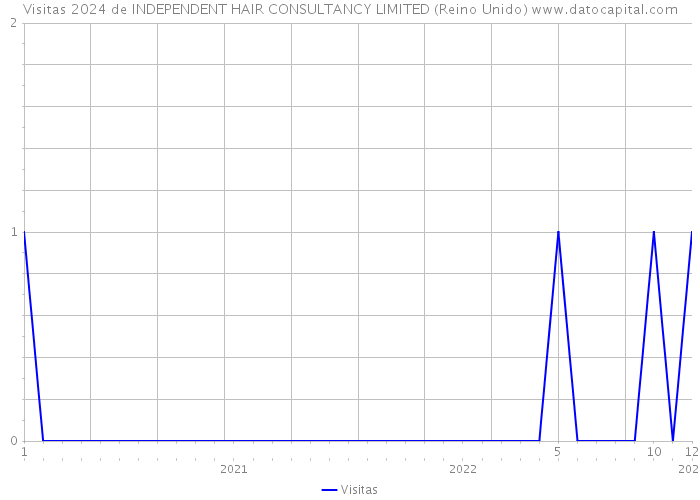 Visitas 2024 de INDEPENDENT HAIR CONSULTANCY LIMITED (Reino Unido) 