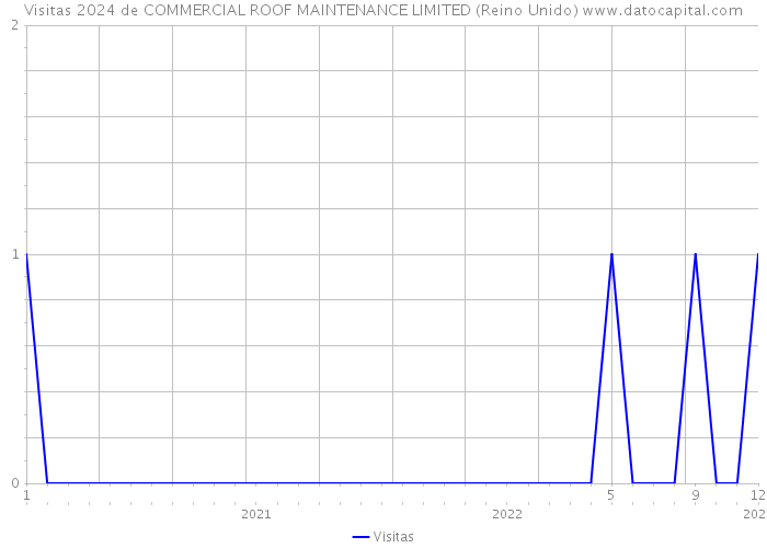 Visitas 2024 de COMMERCIAL ROOF MAINTENANCE LIMITED (Reino Unido) 