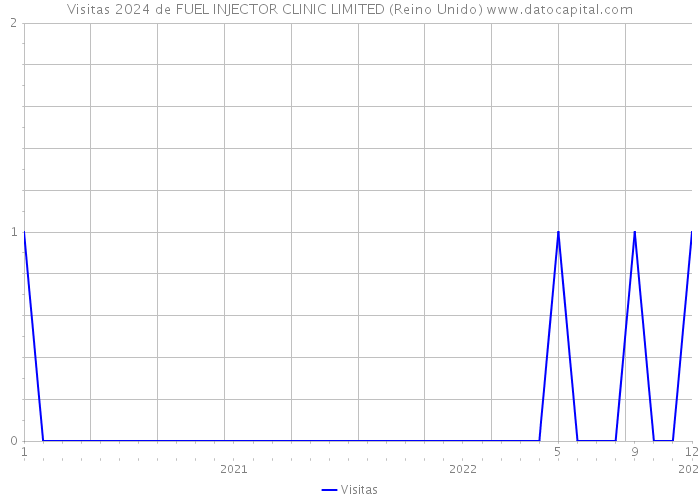 Visitas 2024 de FUEL INJECTOR CLINIC LIMITED (Reino Unido) 