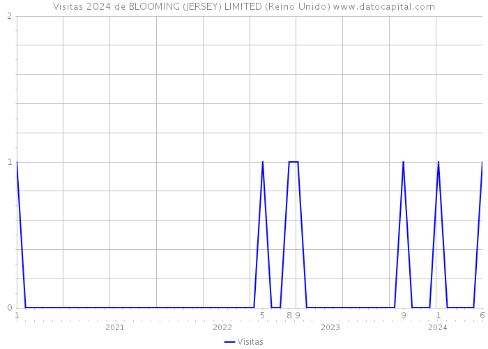 Visitas 2024 de BLOOMING (JERSEY) LIMITED (Reino Unido) 