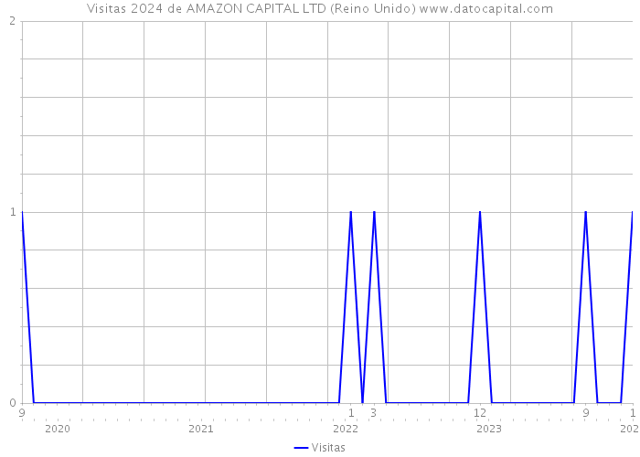 Visitas 2024 de AMAZON CAPITAL LTD (Reino Unido) 