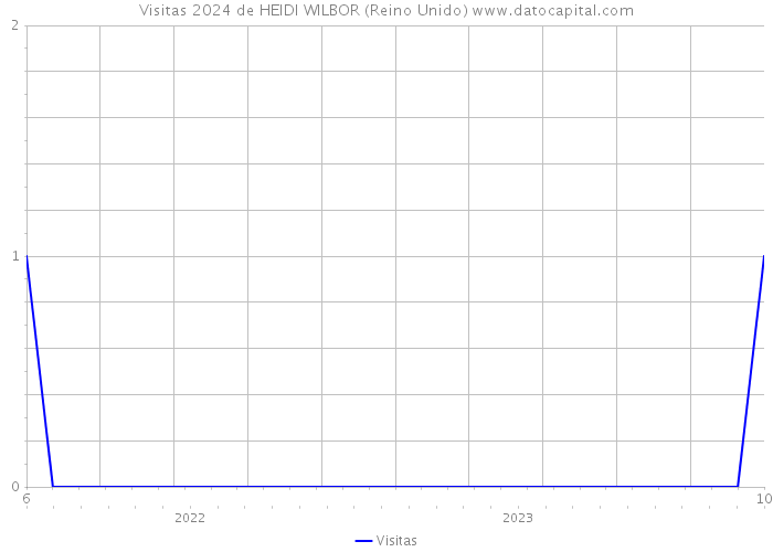 Visitas 2024 de HEIDI WILBOR (Reino Unido) 