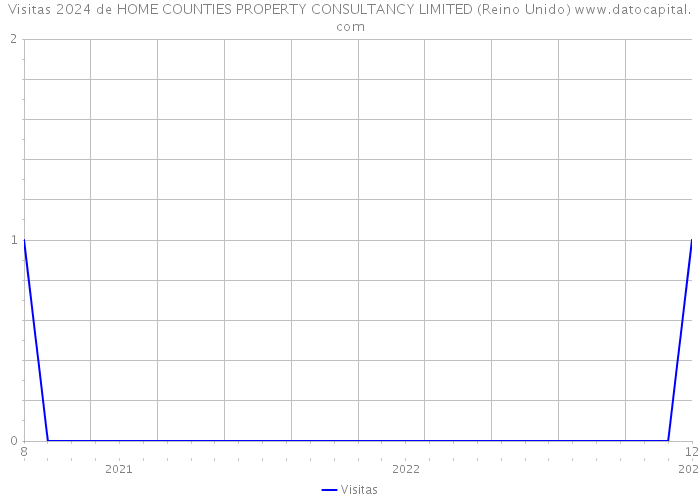 Visitas 2024 de HOME COUNTIES PROPERTY CONSULTANCY LIMITED (Reino Unido) 