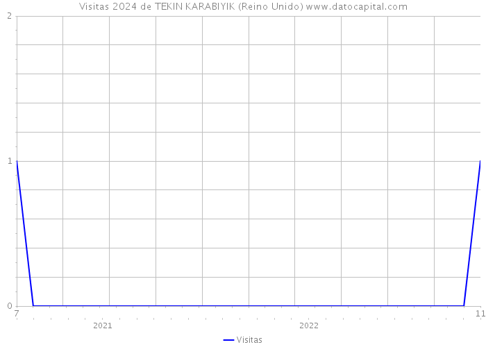 Visitas 2024 de TEKIN KARABIYIK (Reino Unido) 