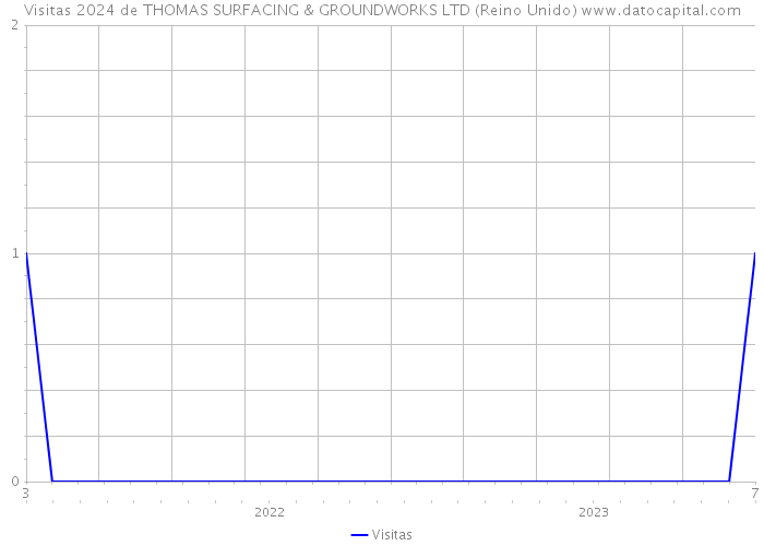 Visitas 2024 de THOMAS SURFACING & GROUNDWORKS LTD (Reino Unido) 