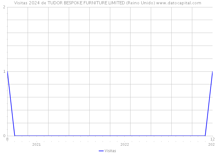 Visitas 2024 de TUDOR BESPOKE FURNITURE LIMITED (Reino Unido) 