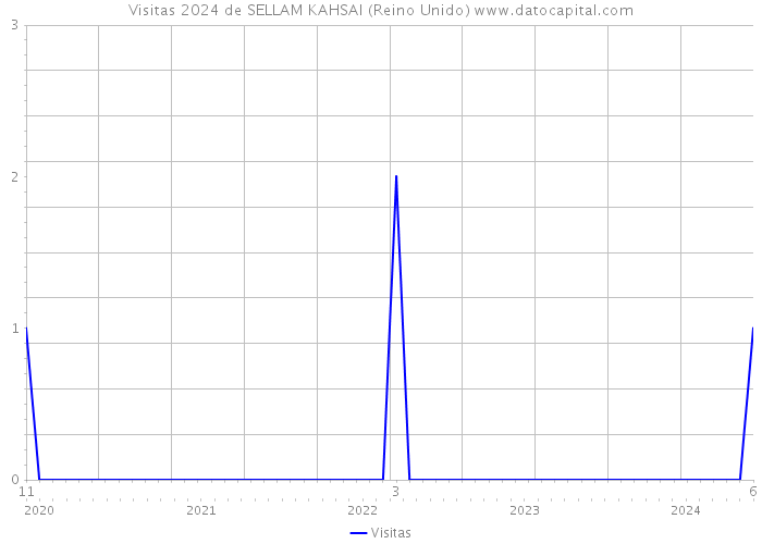 Visitas 2024 de SELLAM KAHSAI (Reino Unido) 