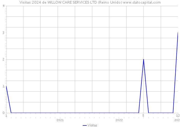 Visitas 2024 de WILLOW CARE SERVICES LTD (Reino Unido) 