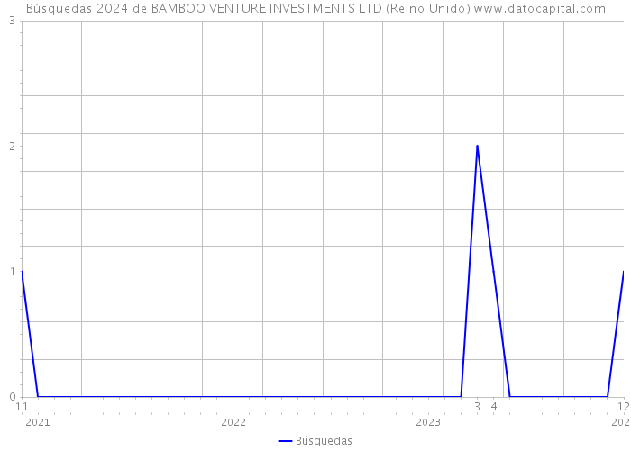 Búsquedas 2024 de BAMBOO VENTURE INVESTMENTS LTD (Reino Unido) 