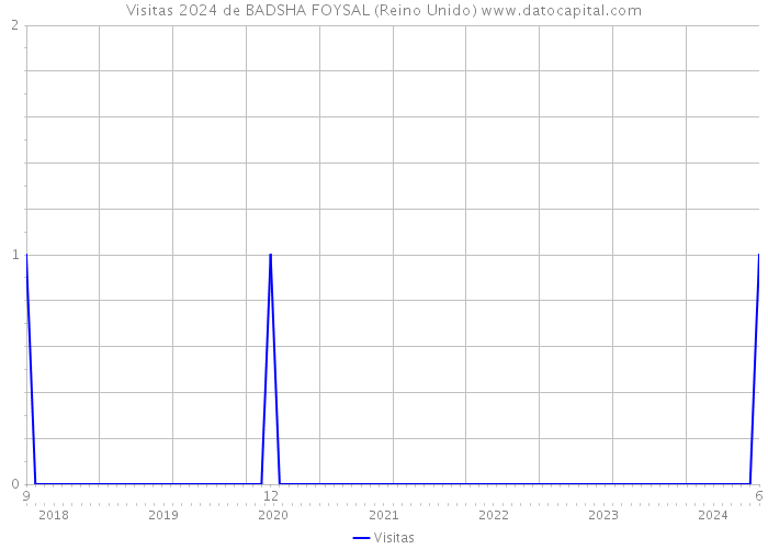 Visitas 2024 de BADSHA FOYSAL (Reino Unido) 