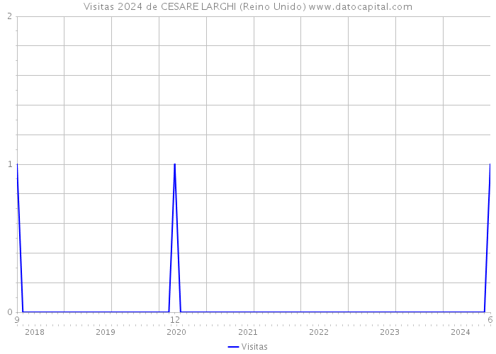 Visitas 2024 de CESARE LARGHI (Reino Unido) 