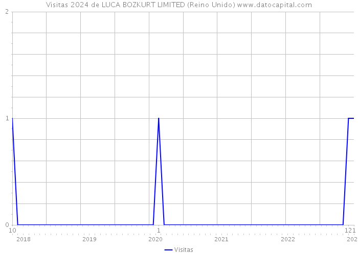 Visitas 2024 de LUCA BOZKURT LIMITED (Reino Unido) 