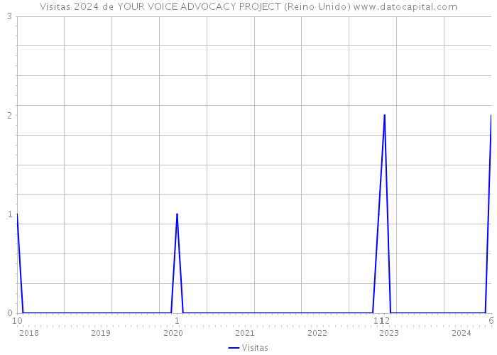 Visitas 2024 de YOUR VOICE ADVOCACY PROJECT (Reino Unido) 