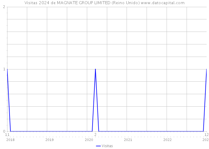 Visitas 2024 de MAGNATE GROUP LIMITED (Reino Unido) 