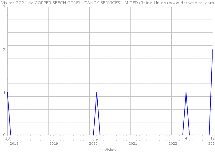 Visitas 2024 de COPPER BEECH CONSULTANCY SERVICES LIMITED (Reino Unido) 