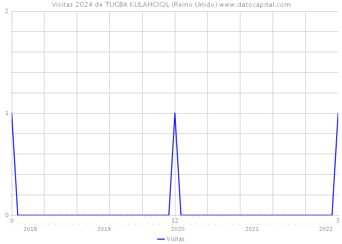 Visitas 2024 de TUGBA KULAHCIGIL (Reino Unido) 