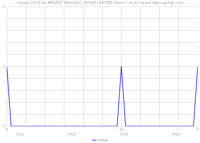 Visitas 2024 de BREAST IMAGING GROUP LIMITED (Reino Unido) 