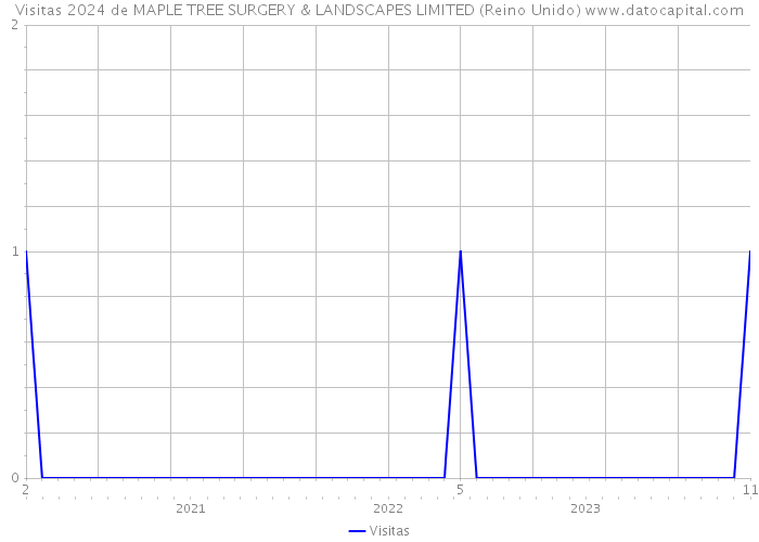 Visitas 2024 de MAPLE TREE SURGERY & LANDSCAPES LIMITED (Reino Unido) 