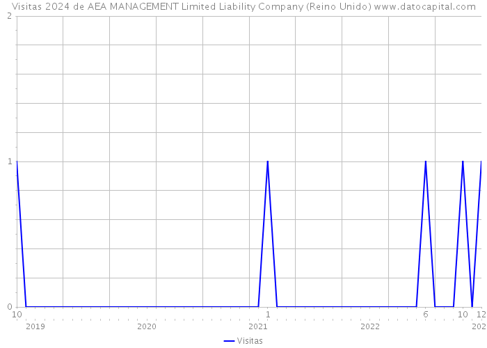 Visitas 2024 de AEA MANAGEMENT Limited Liability Company (Reino Unido) 