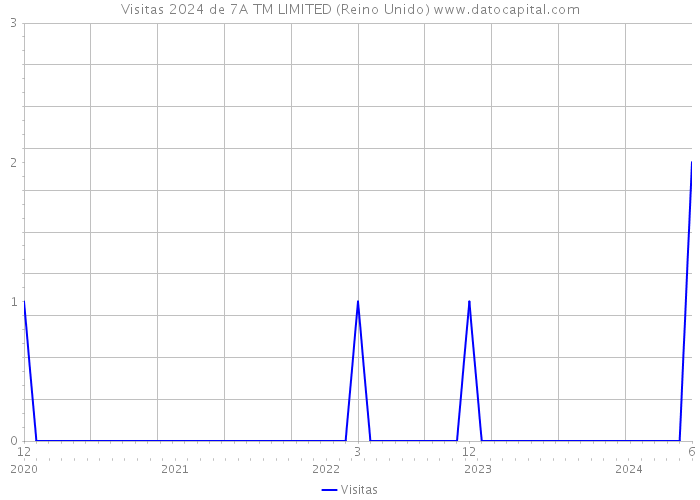 Visitas 2024 de 7A TM LIMITED (Reino Unido) 