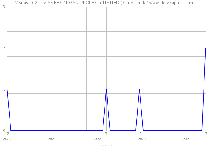 Visitas 2024 de AMBER INDRANI PROPERTY LIMITED (Reino Unido) 