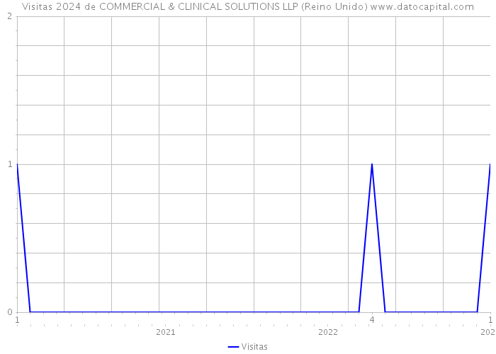 Visitas 2024 de COMMERCIAL & CLINICAL SOLUTIONS LLP (Reino Unido) 