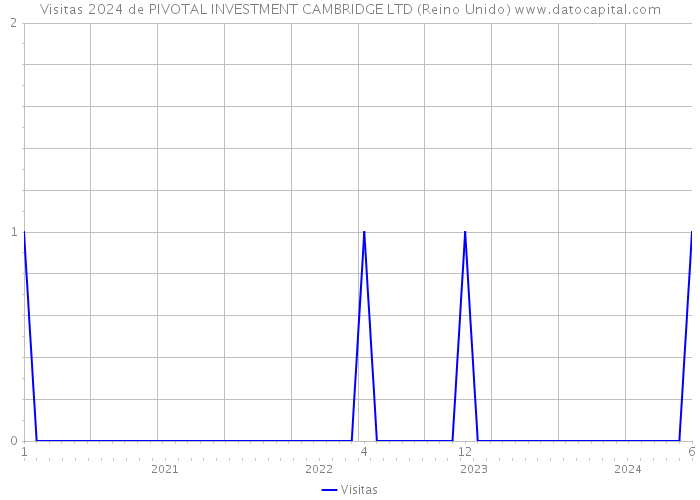 Visitas 2024 de PIVOTAL INVESTMENT CAMBRIDGE LTD (Reino Unido) 