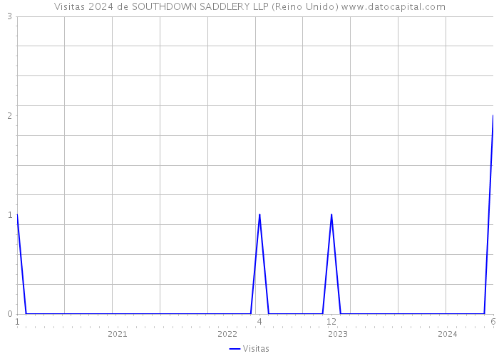 Visitas 2024 de SOUTHDOWN SADDLERY LLP (Reino Unido) 