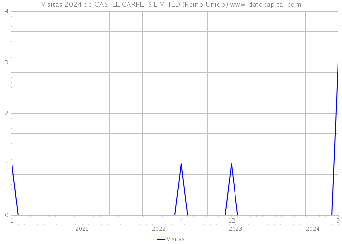 Visitas 2024 de CASTLE CARPETS LIMITED (Reino Unido) 