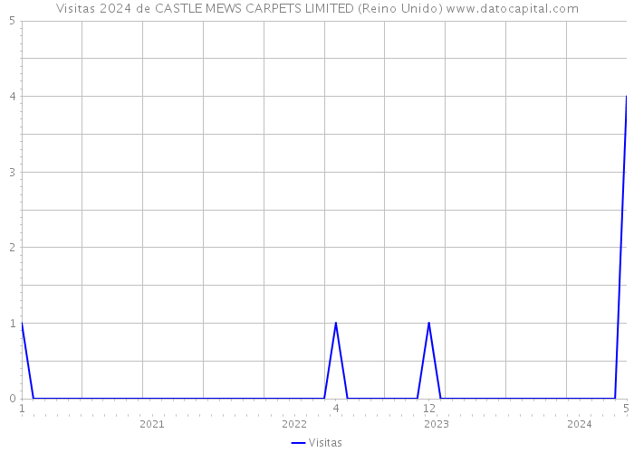 Visitas 2024 de CASTLE MEWS CARPETS LIMITED (Reino Unido) 