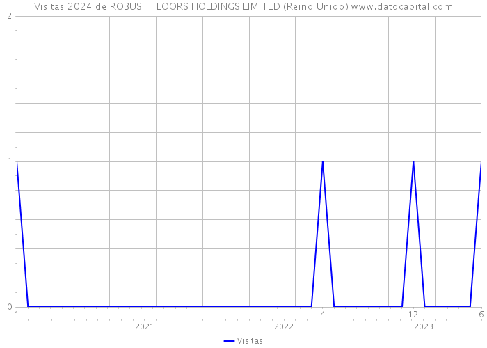 Visitas 2024 de ROBUST FLOORS HOLDINGS LIMITED (Reino Unido) 