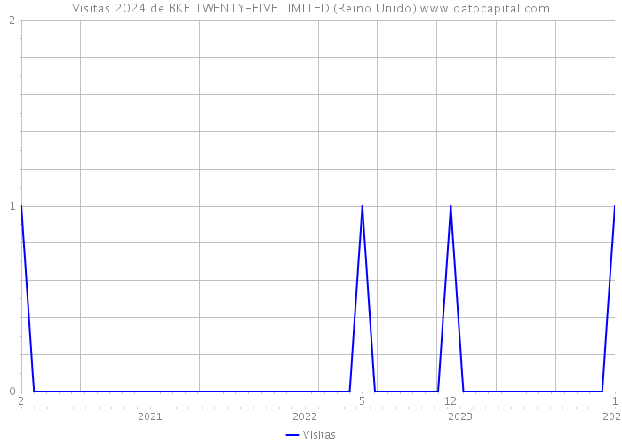 Visitas 2024 de BKF TWENTY-FIVE LIMITED (Reino Unido) 