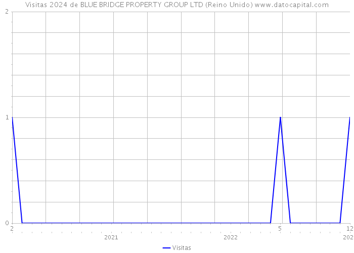 Visitas 2024 de BLUE BRIDGE PROPERTY GROUP LTD (Reino Unido) 