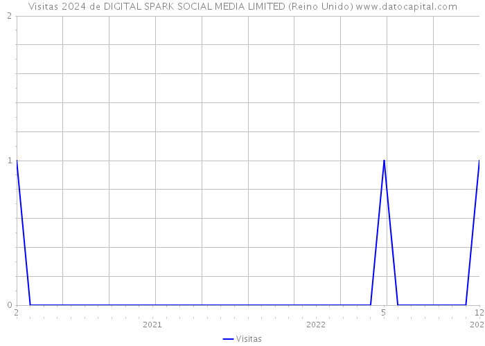 Visitas 2024 de DIGITAL SPARK SOCIAL MEDIA LIMITED (Reino Unido) 