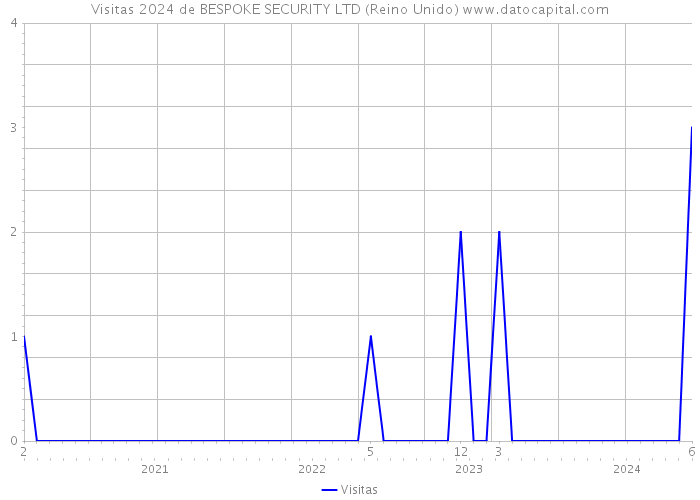 Visitas 2024 de BESPOKE SECURITY LTD (Reino Unido) 