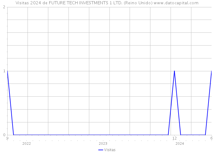 Visitas 2024 de FUTURE TECH INVESTMENTS 1 LTD. (Reino Unido) 