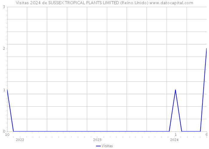 Visitas 2024 de SUSSEX TROPICAL PLANTS LIMITED (Reino Unido) 