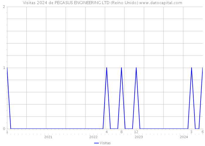 Visitas 2024 de PEGASUS ENGINEERING LTD (Reino Unido) 